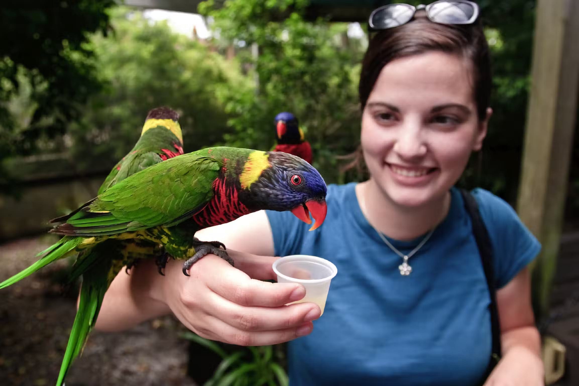 Destination Pakistan Destination Pakistan