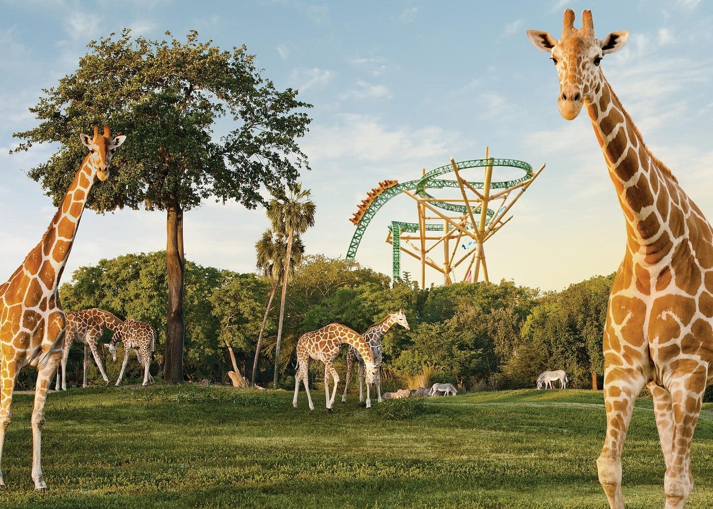 Destination Pakistan Destination Pakistan