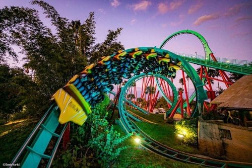 Busch Gardens Tampa Bay