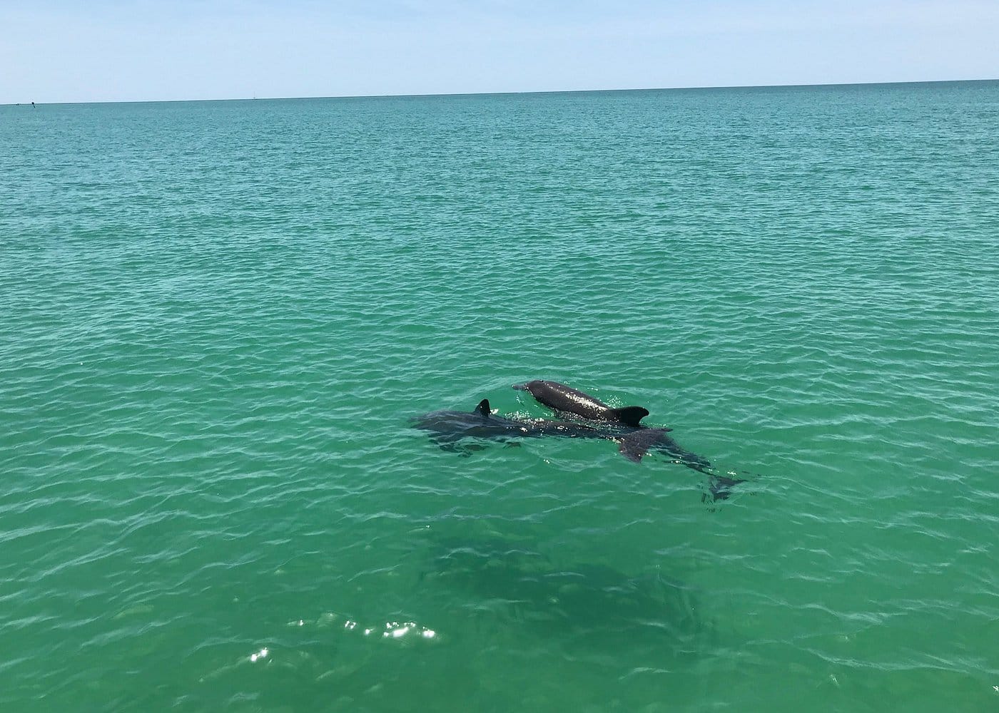 Destination Pakistan