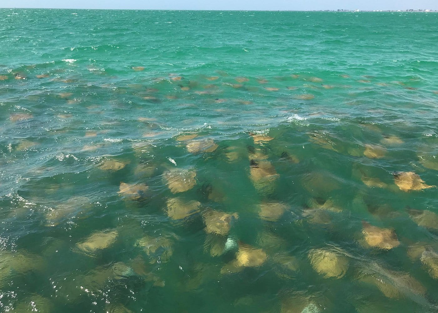 Destination Pakistan