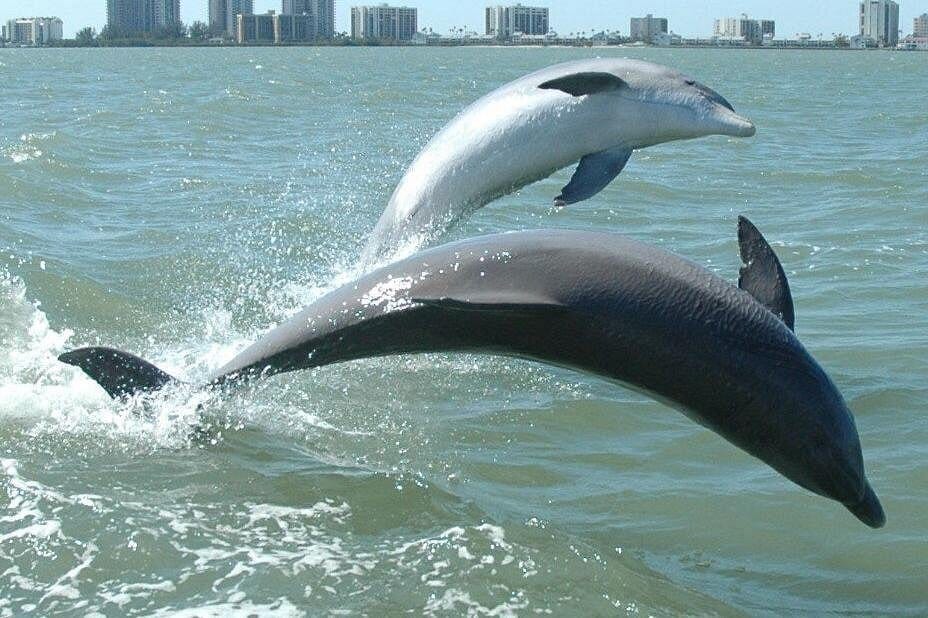 Destination Pakistan Destination Pakistan