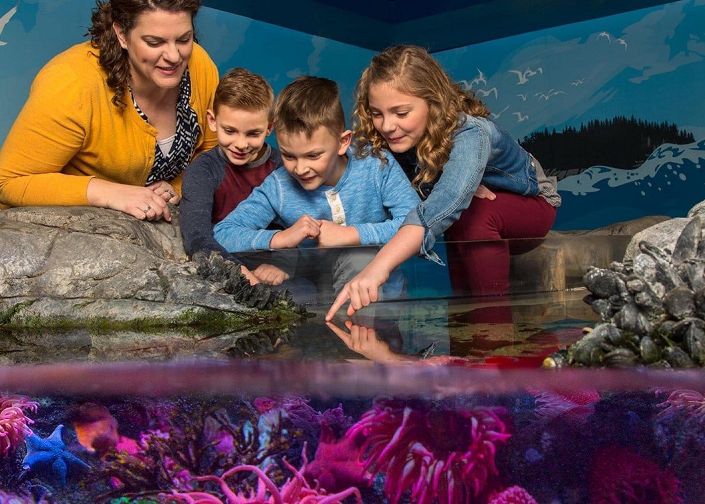 Orlando Aquarium