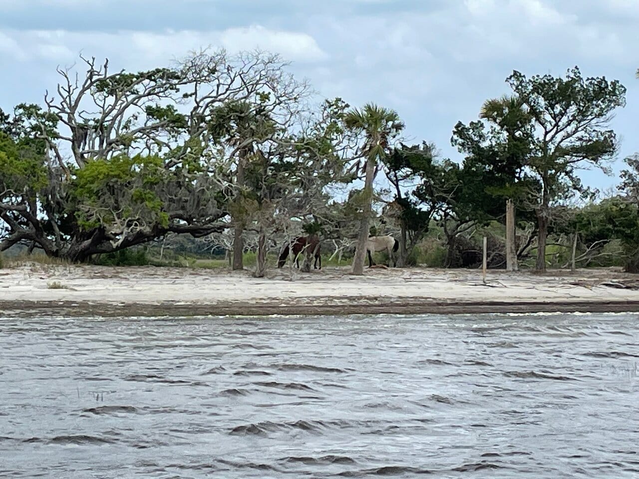 Destination Pakistan