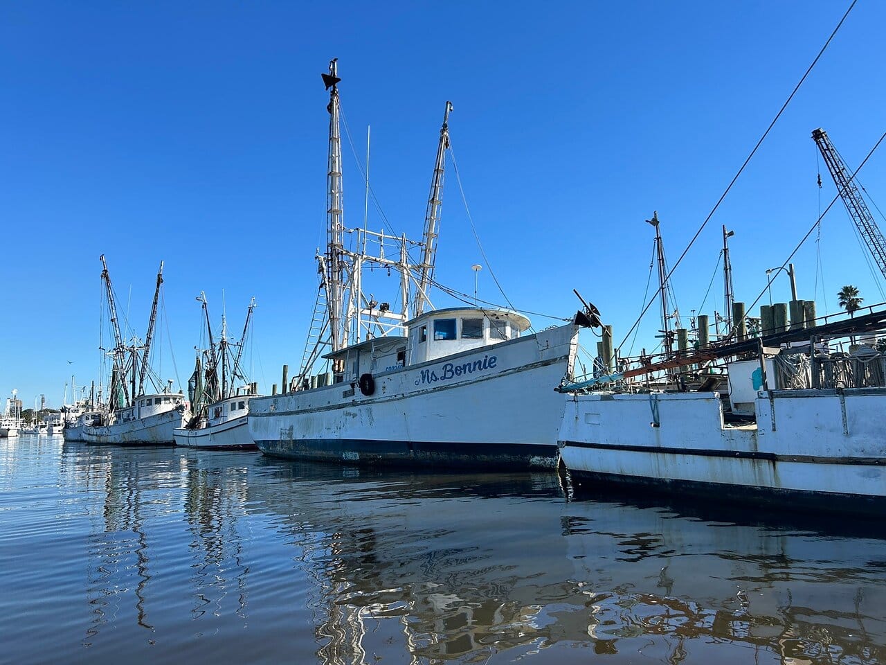 Destination Pakistan