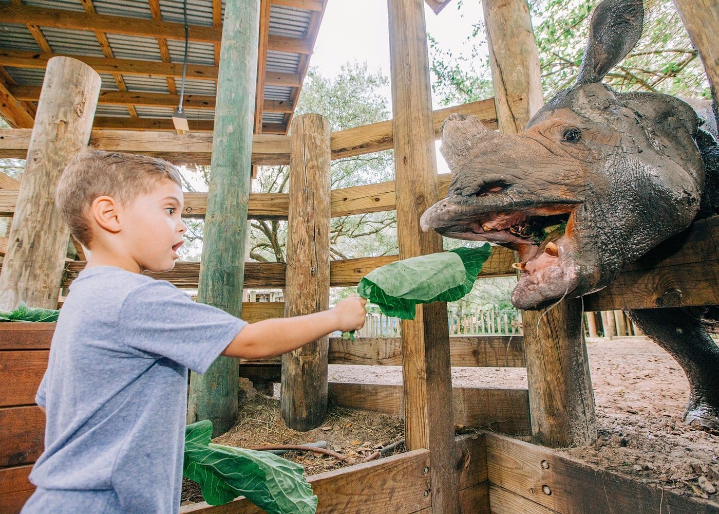 Destination Pakistan Destination Pakistan