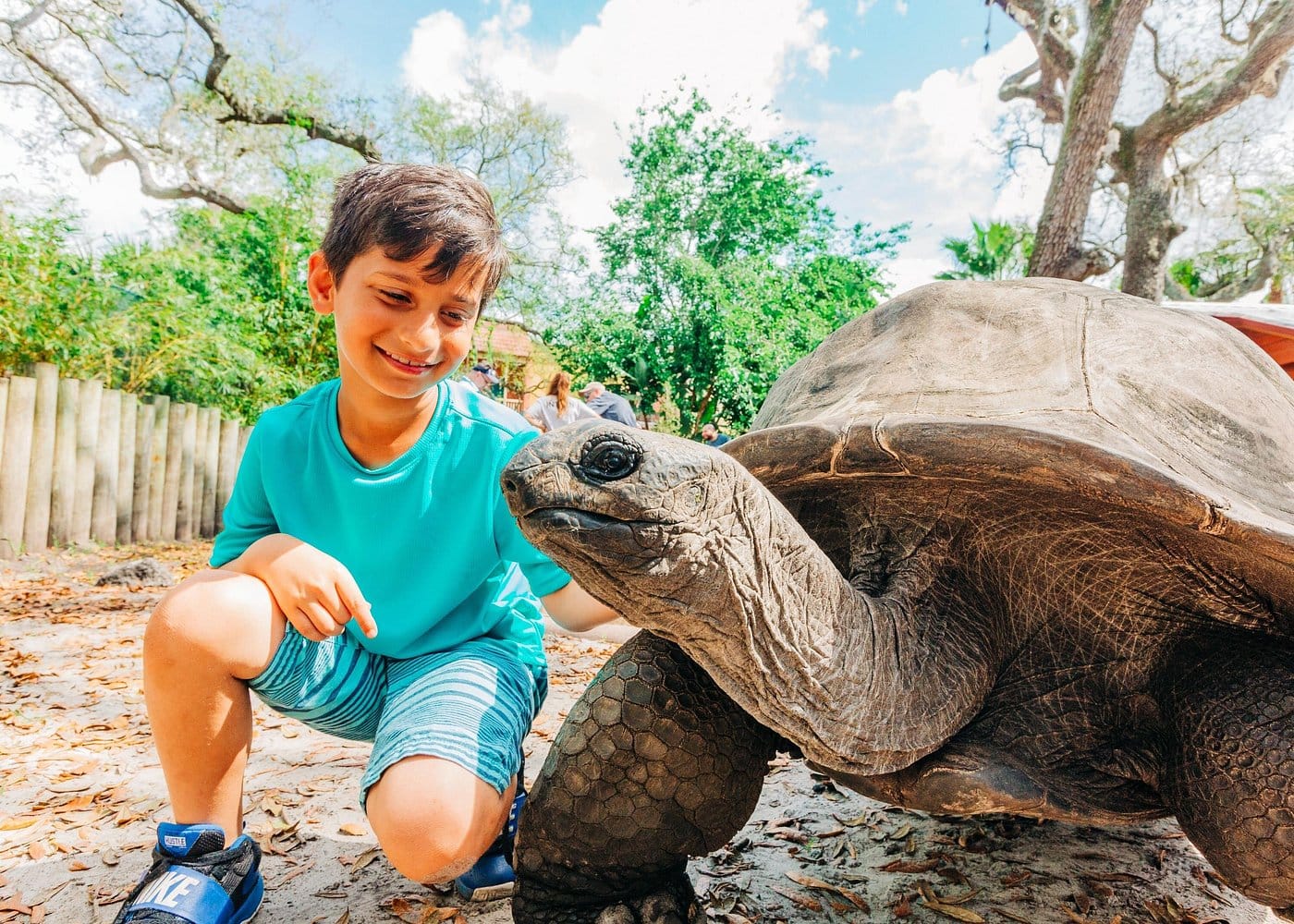 Destination Pakistan Destination Pakistan