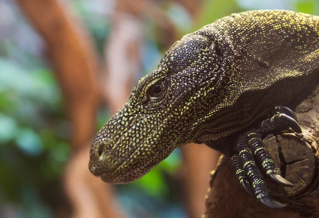 Central Florida Zoo & Botanical Gardens-2