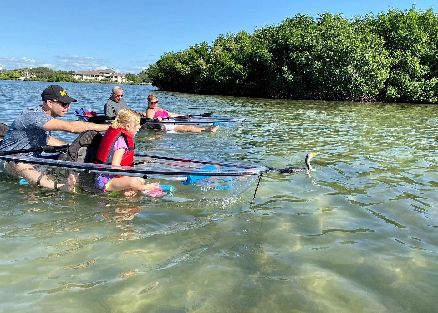Clear Kayak Tour of Shell Key Preserve and Tampa Bay Area