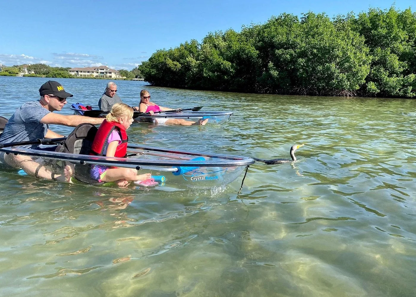 Clear Kayak Tour of Shell Key Preserve and Tampa Bay Area