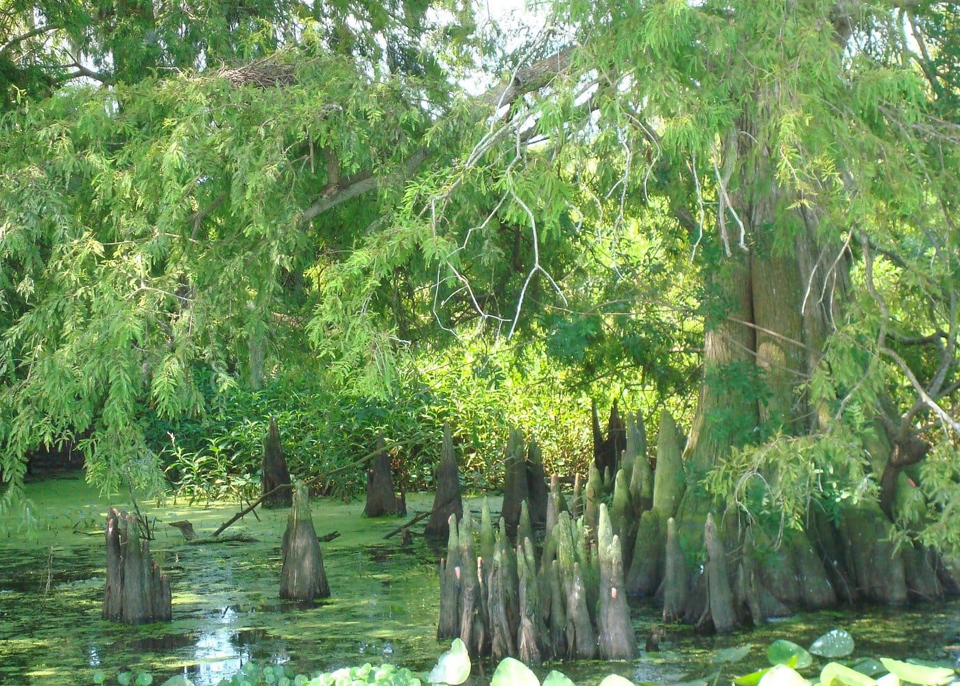 Destination Pakistan