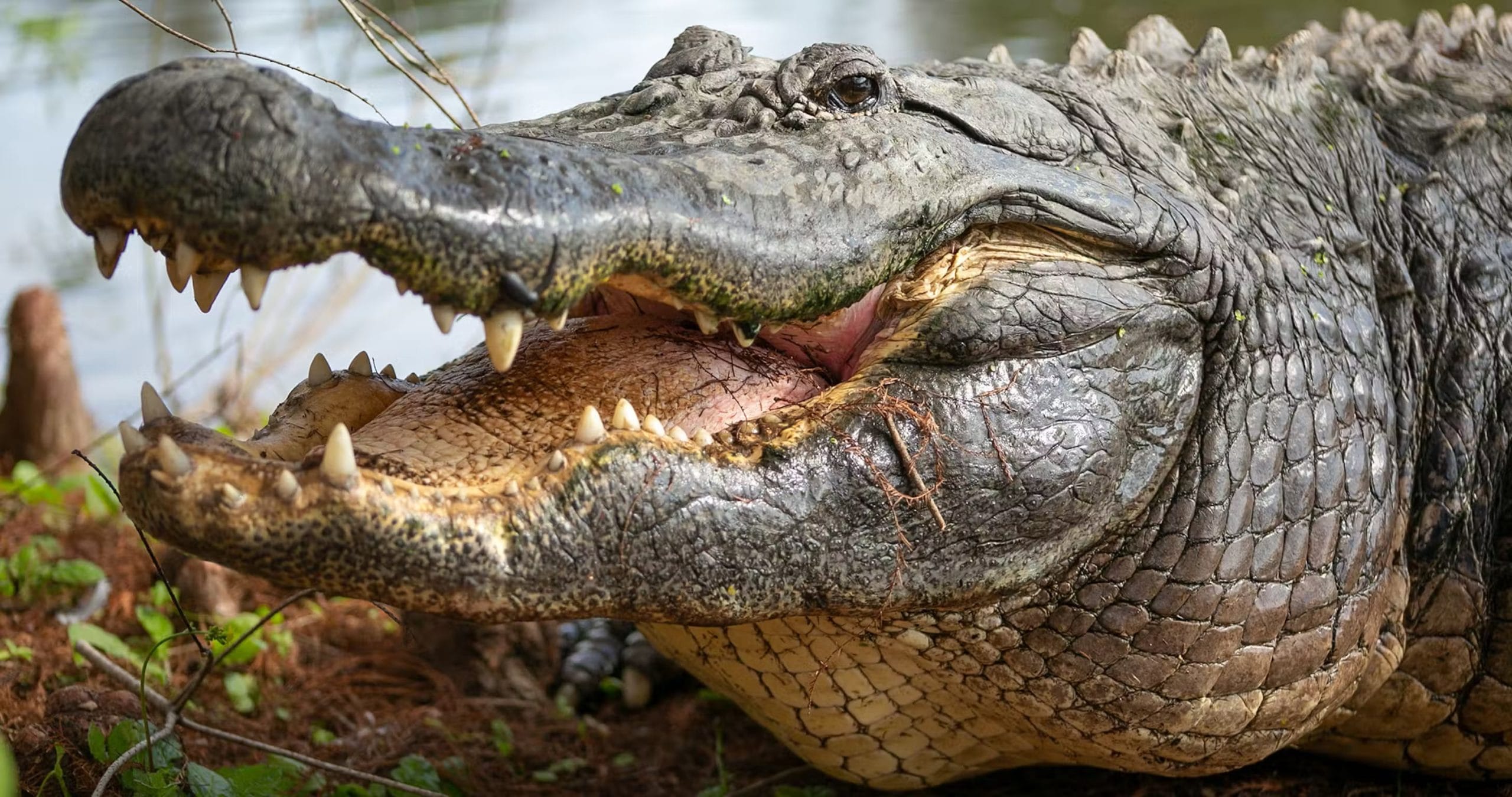 Destination Pakistan Destination Pakistan