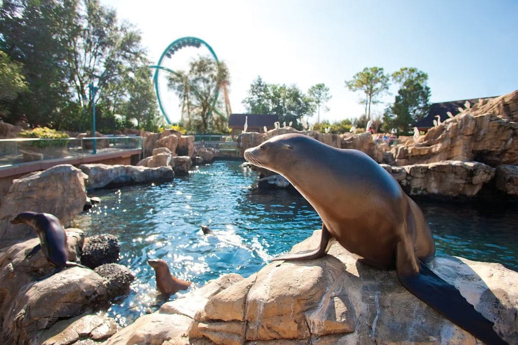SeaWorld Orlando