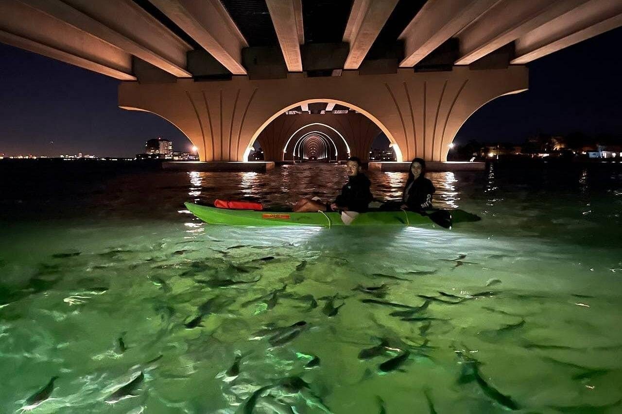 Sharkeys Glass Bottom Fish Feeding LED Night Tour St. Pete Beach