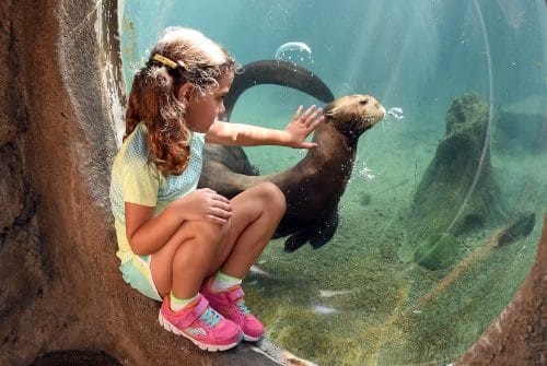 Zoo Miami