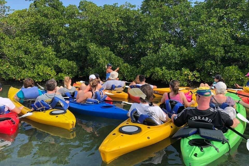 Key West Mangrove Kayak Eco Tour-4 Key West Mangrove Kayak Eco Tour-4