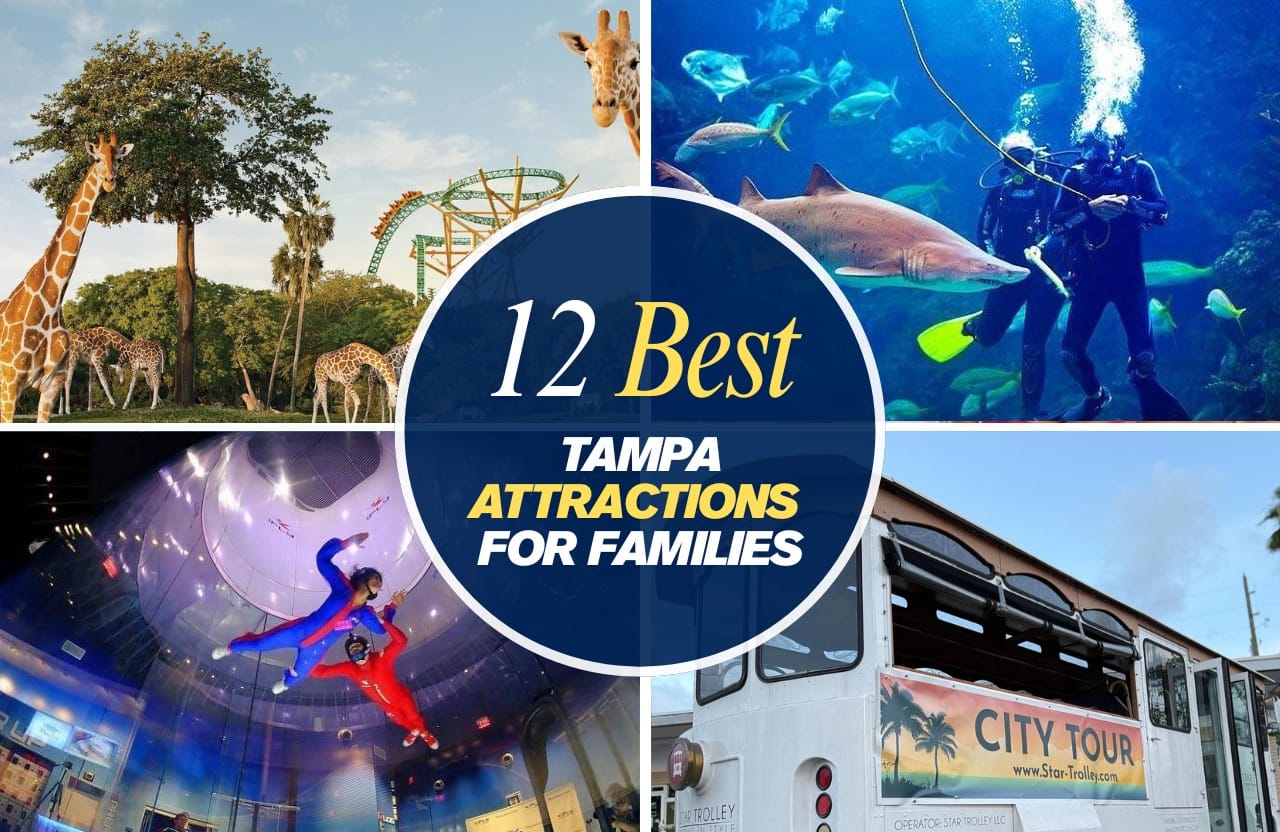 tampa attraction for families