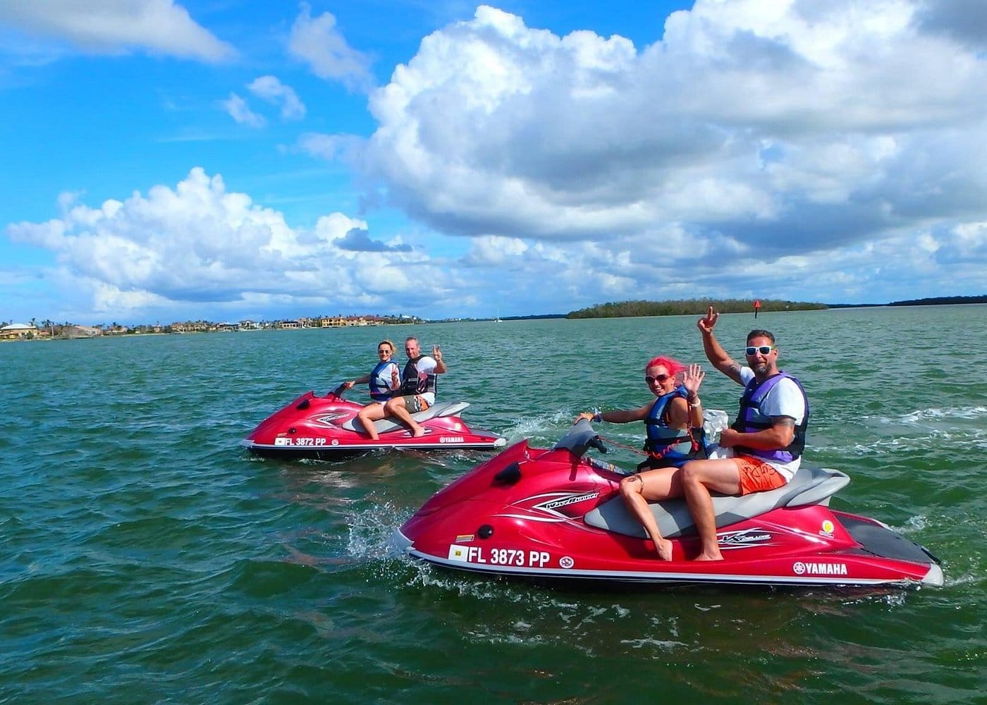 Avi's Premium Dolphin Tour by Jet Ski-2