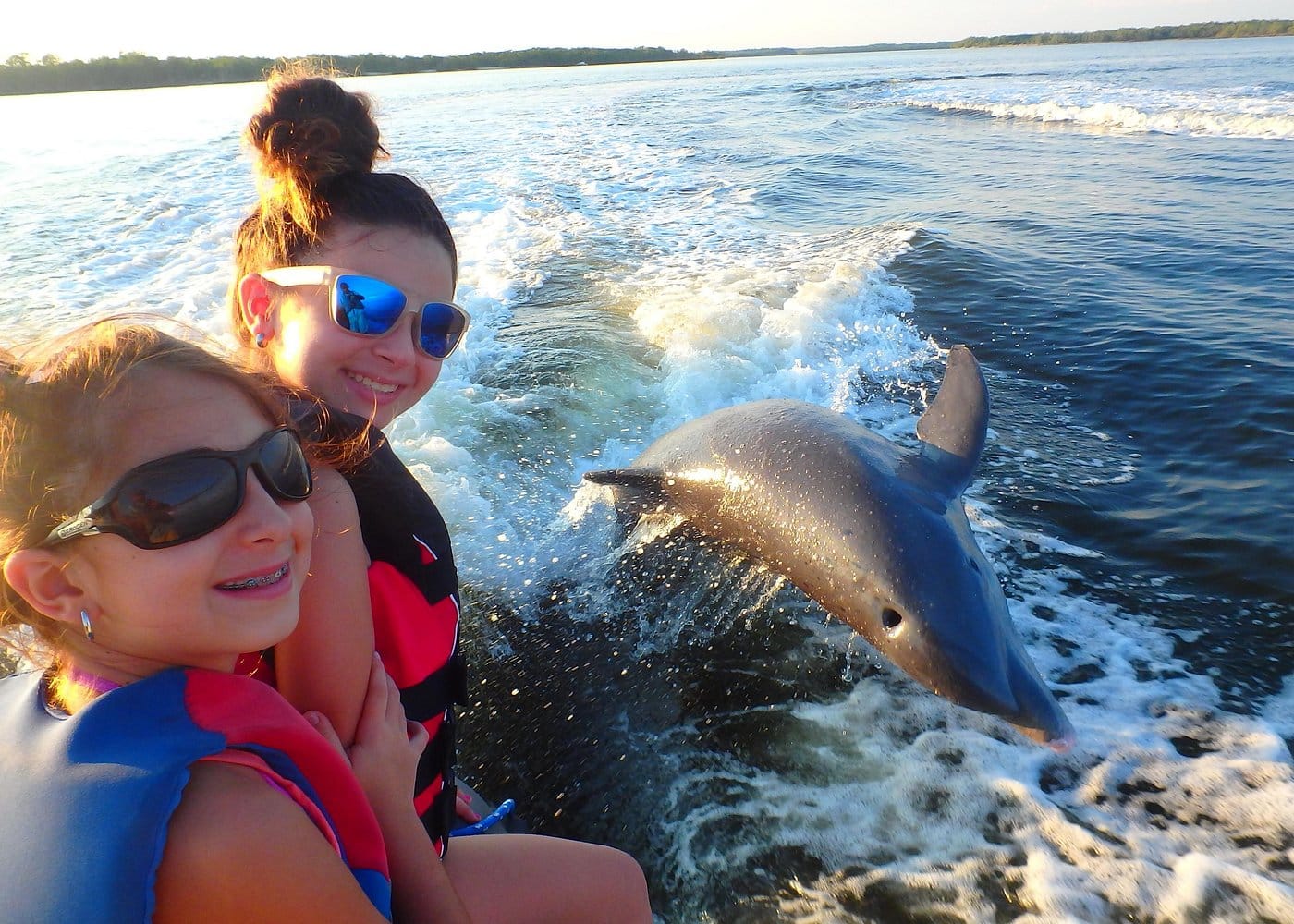 Avi's Premium Dolphin Tour by Jet Ski-4