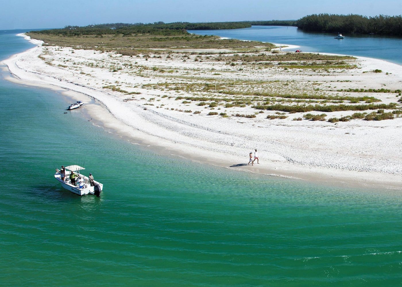 Dolphin Watch Eco Shelling Cruise to Keewaydin Island-1