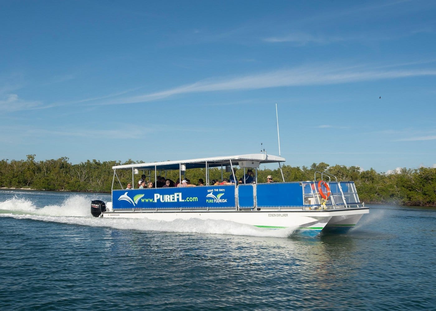 Dolphin Watch Eco Shelling Cruise to Keewaydin Island-4