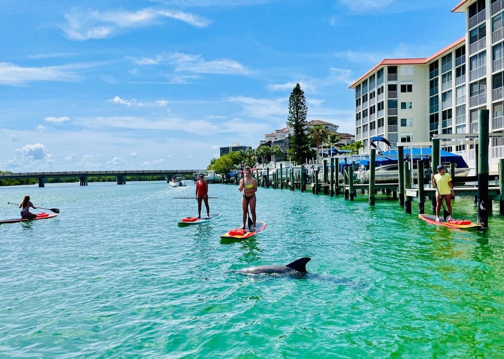 Dolphin and Manatee Adventure Tour of Fort Myers-2