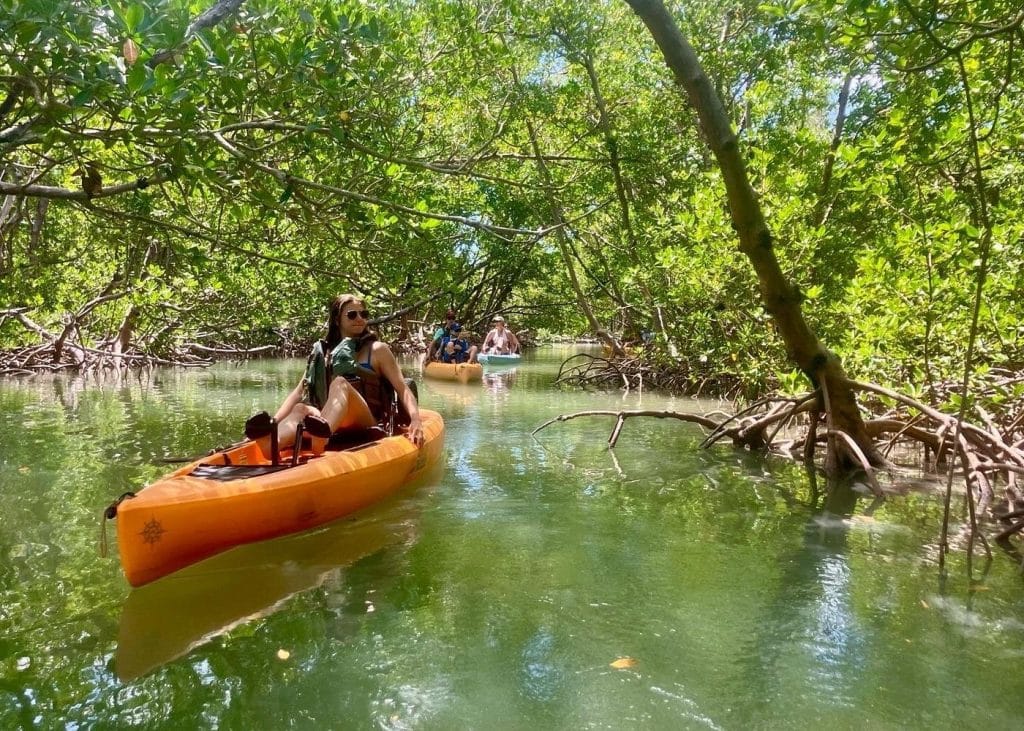 Easy Ride Pedal Kayak Tour Marco Island & Naples