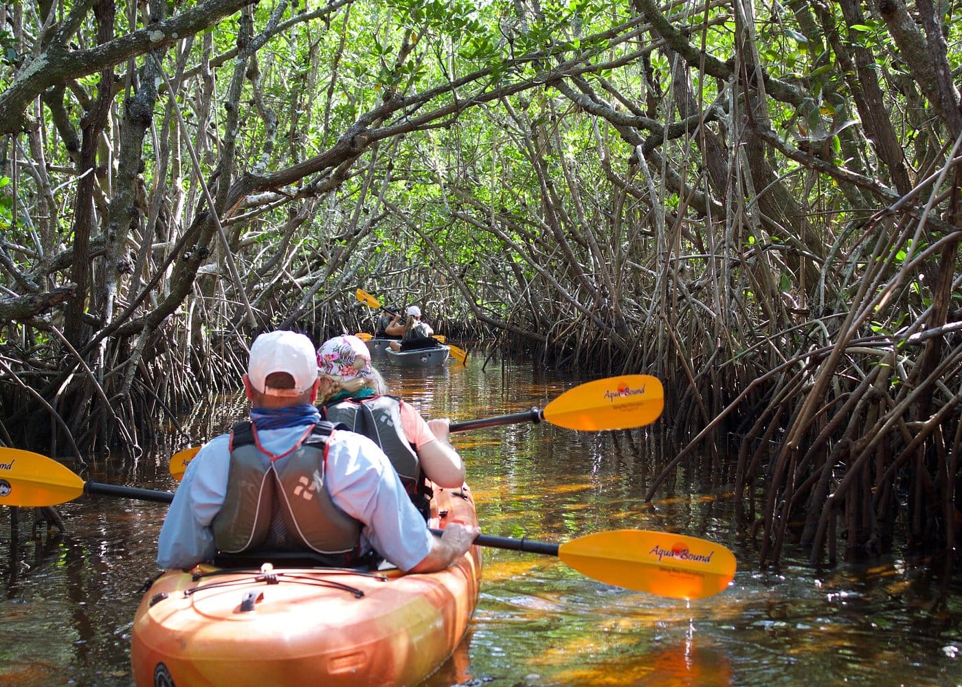 Manatees and Mangrove Tunnels Small Group Kayak Tour-1
