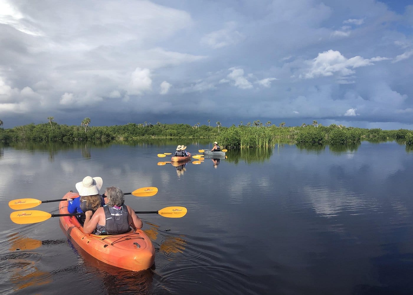 Manatees and Mangrove Tunnels Small Group Kayak Tour-2