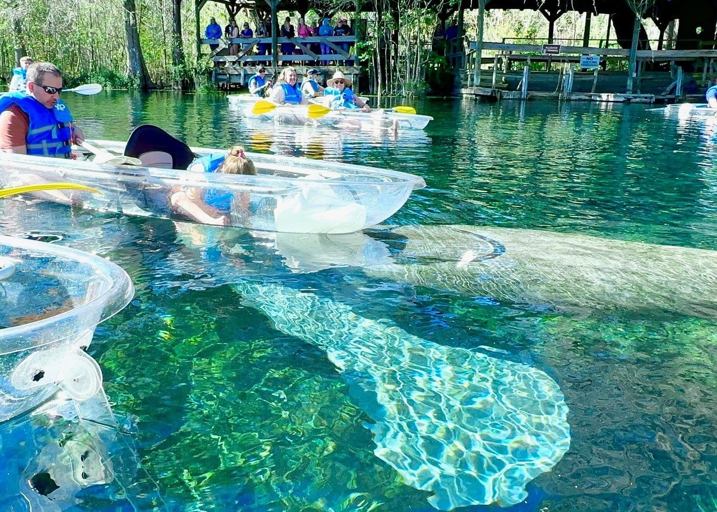 Sassy’s Silver Springs Kayak and Paddleboard Tours