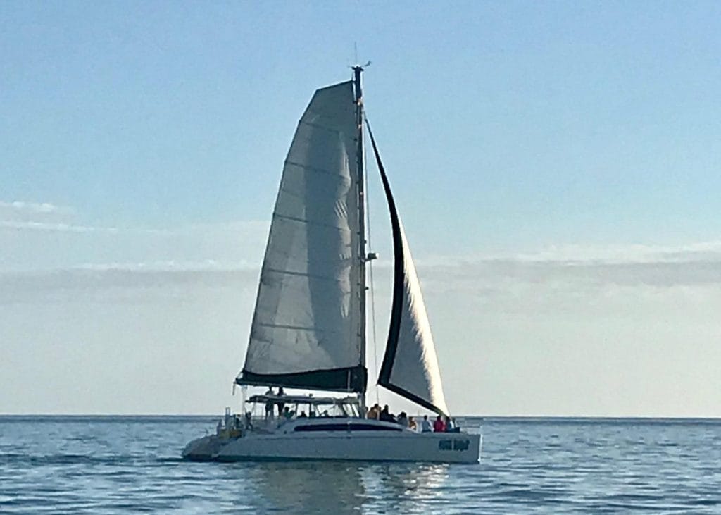 Sightseeing and Sunset Catamaran Sailing Excursion-1