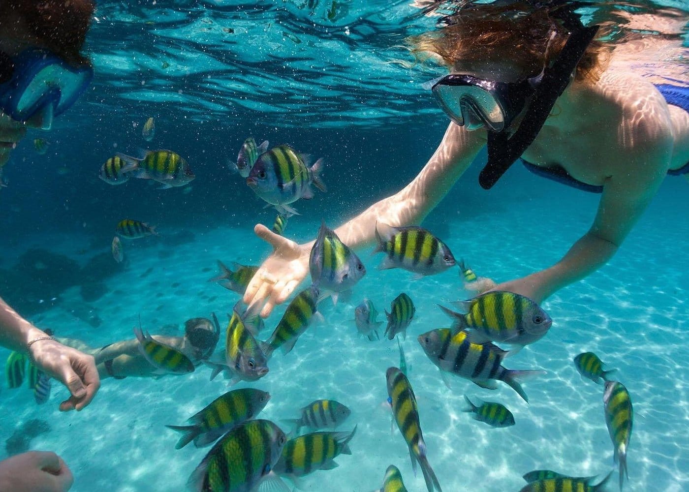 Fort Lauderdale to Key West Tour with Optional Add-ons-3 Fort Lauderdale to Key West Tour with Optional Add-ons-3