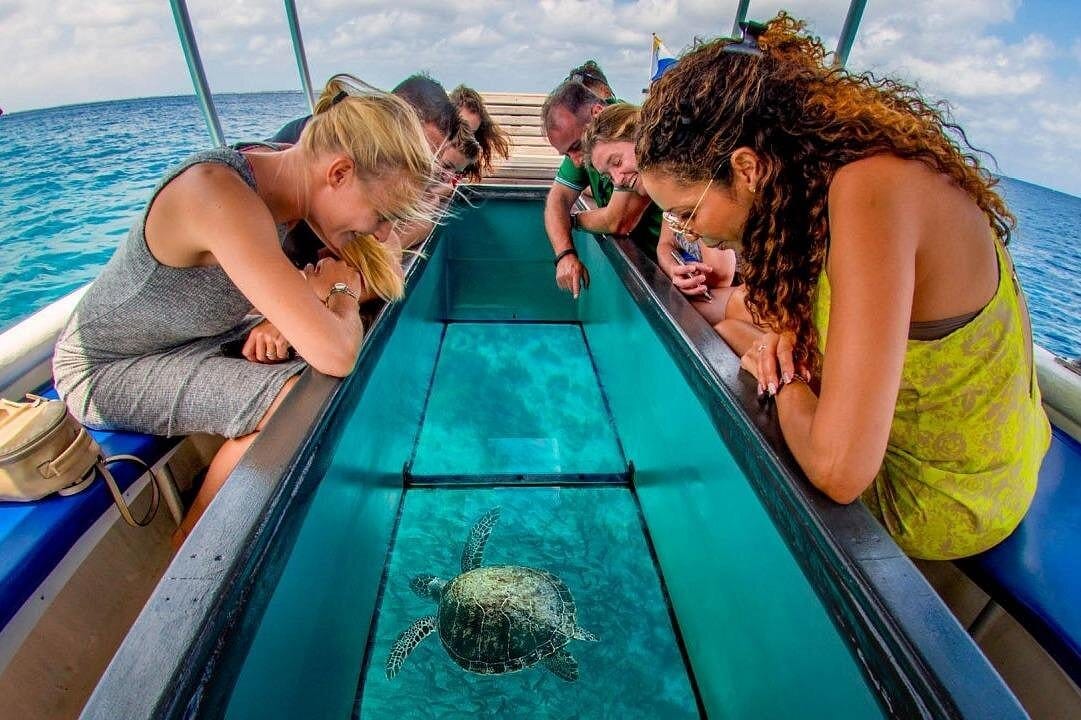Fort Lauderdale to Key West Tour with Optional Add-ons-4 Fort Lauderdale to Key West Tour with Optional Add-ons-4