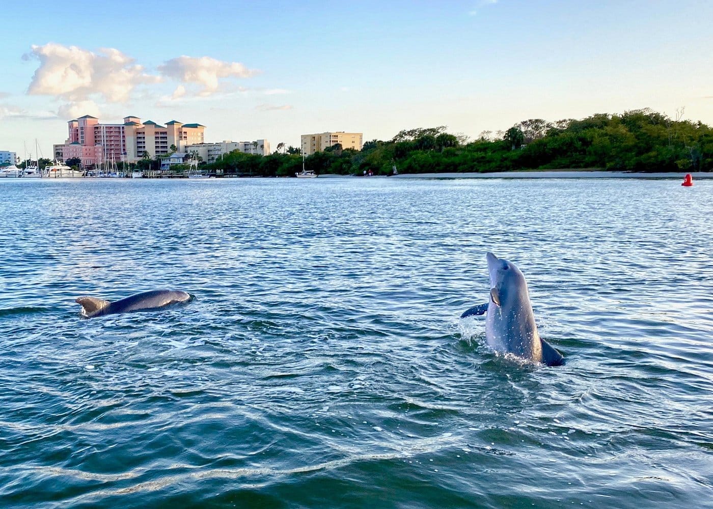Half Day Private Tiki Boat Beach Tour from Fort Myers-2