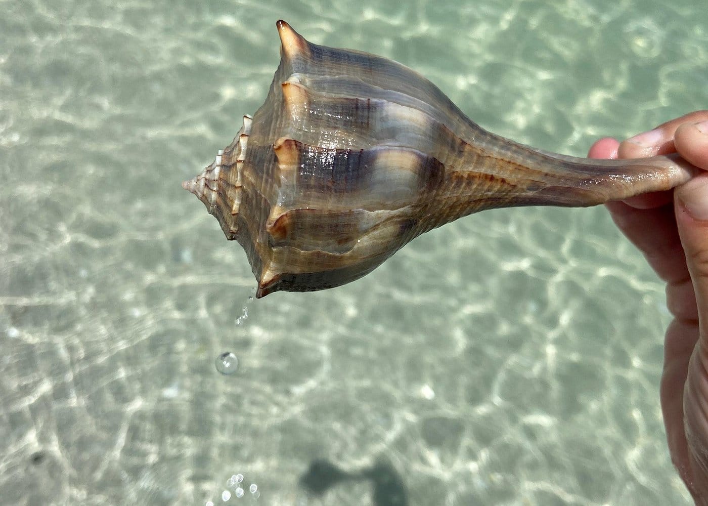 Half Day Private Tiki Boat Beach Tour from Fort Myers-3