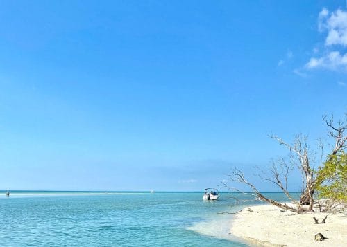 Half Day Private Tiki Boat Beach Tour from Fort Myers