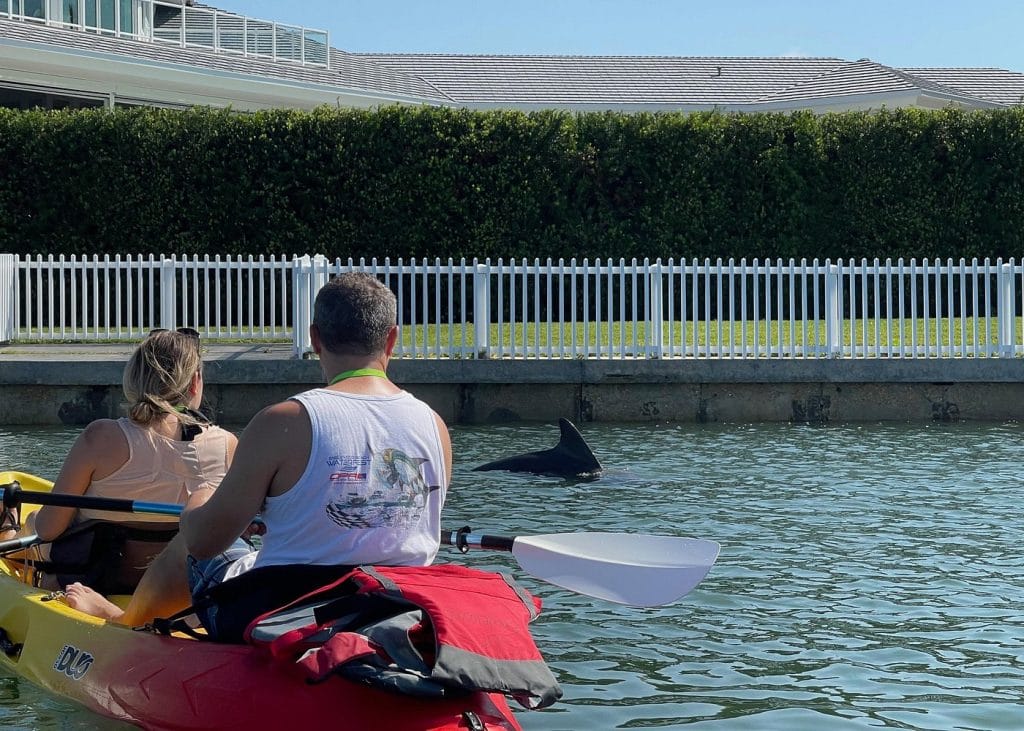 Kayak Eco Tour in Don Pedro Island-2