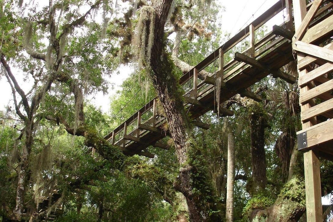 Myakka State Park E-bike Safari-1