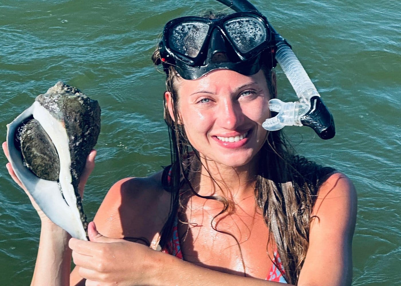Sanibel Eco Boat Charter, Gulf and Pine Island-3 Sanibel Eco Boat Charter, Gulf and Pine Island-3