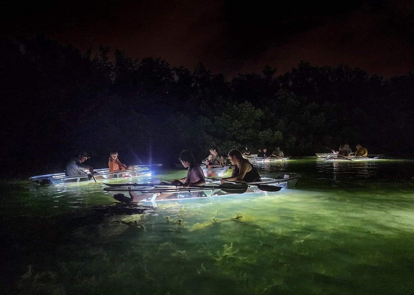 Siesta Key, FL - Clear Kayak LED Night Glass Bottom Tour-1