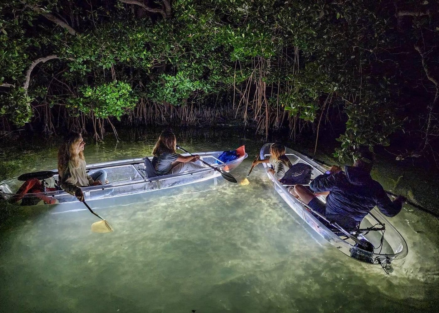 Siesta Key, FL - Clear Kayak LED Night Glass Bottom Tour-2