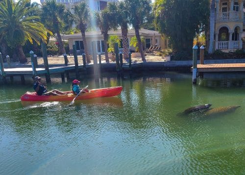 Siesta Key Kayak Tour