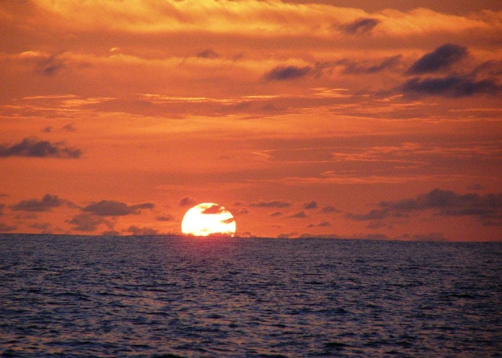 Southwest Florida Sunset Sail-2