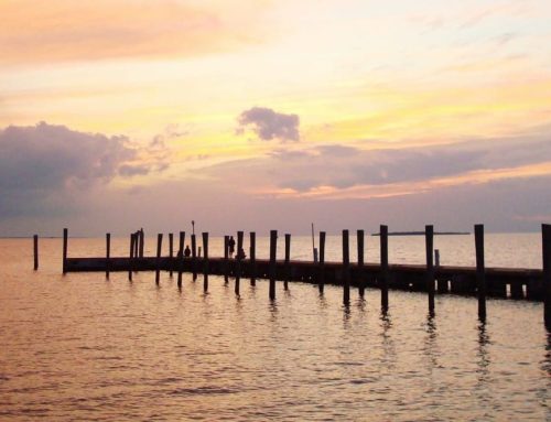 Best Things to Do in Key Largo, Florida (From Reefs to Sunsets)
