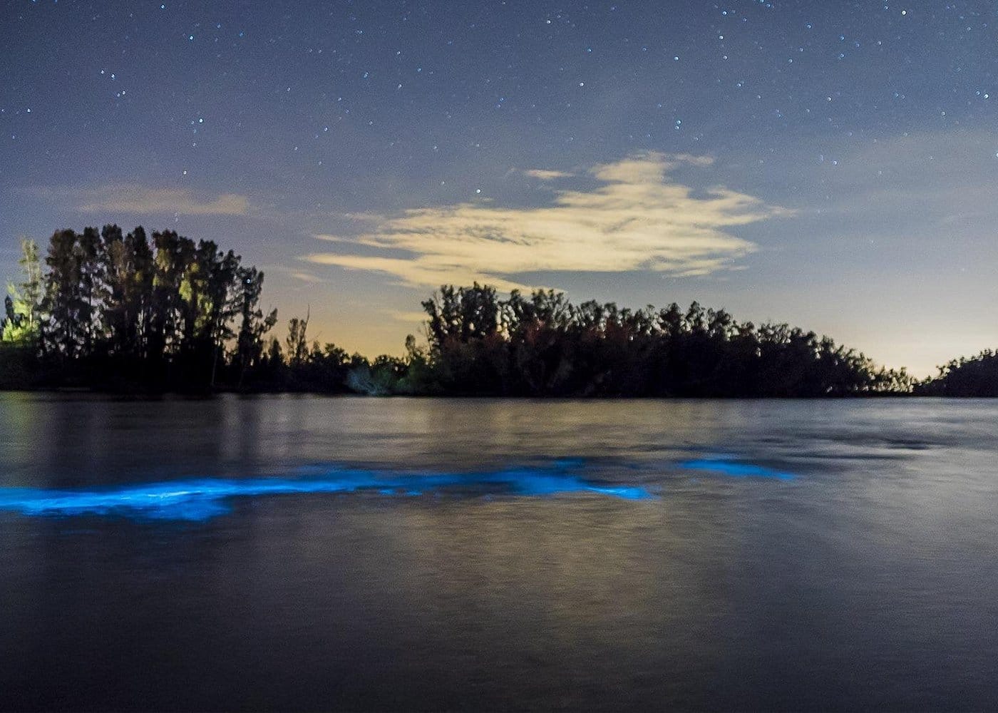 Bioluminescent Clear Kayak Tours in Titusville-2 Bioluminescent Clear Kayak Tours in Titusville-2