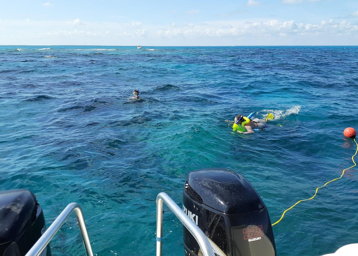 Coral Reef Private Snorkel tour out to John Pennekamp Coral Reef State Park-2 Coral Reef Private Snorkel tour out to John Pennekamp Coral Reef State Park-2