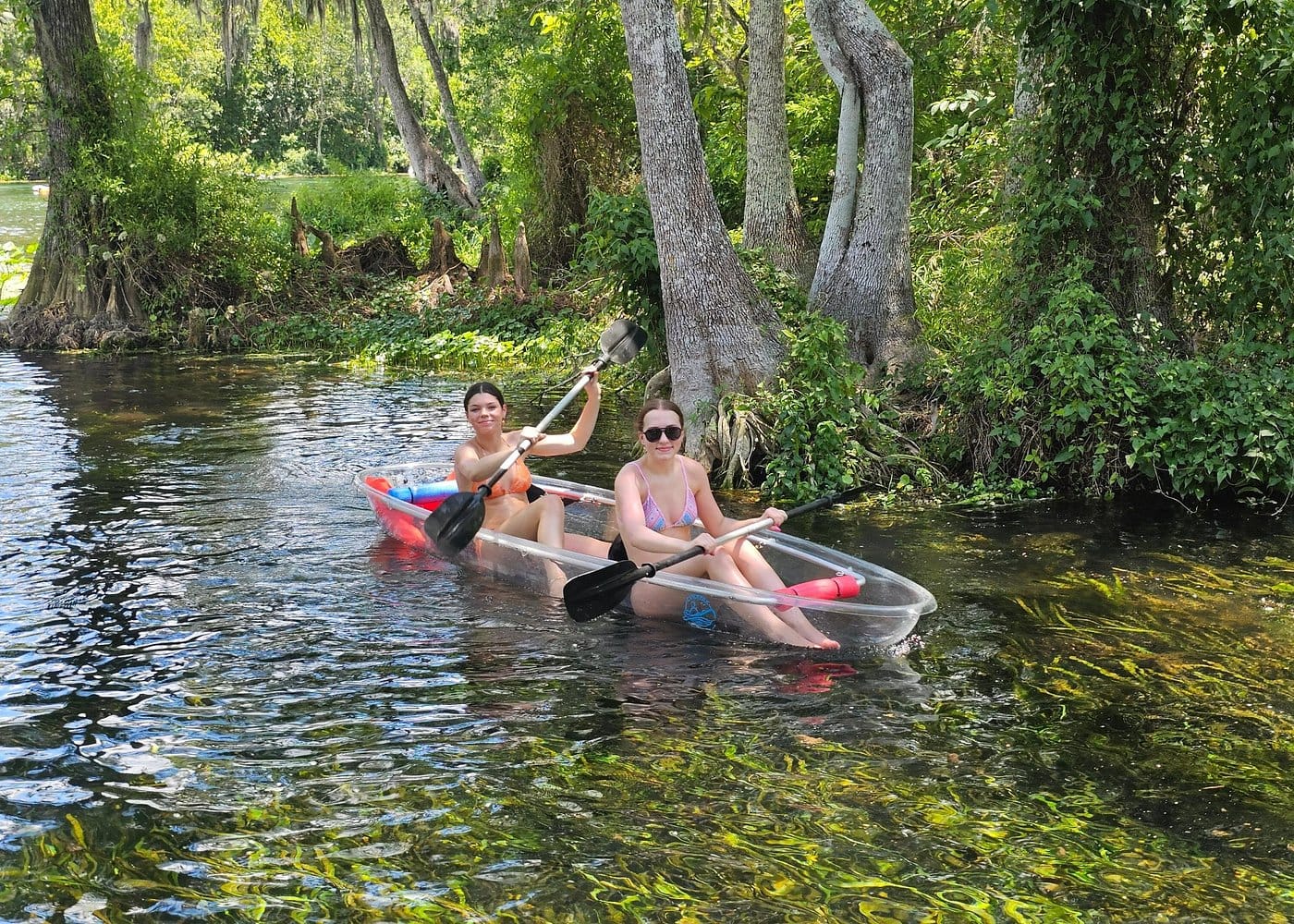 Gator Viewing Clear Kayak Springs Tour-1 Gator Viewing Clear Kayak Springs Tour-1