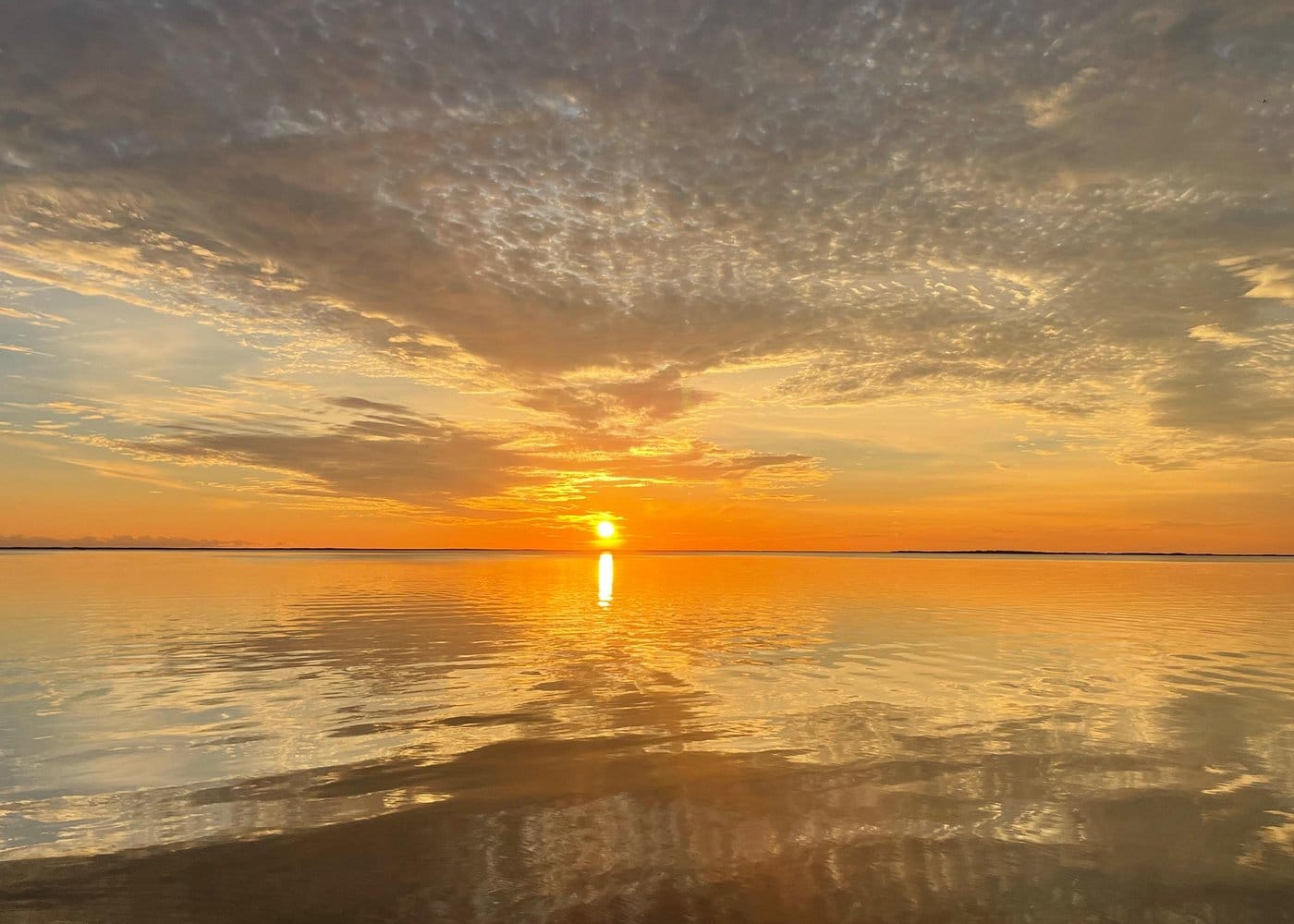 Key Largo Bay Dolphin Sunset Tour-1 Key Largo Bay Dolphin Sunset Tour-1