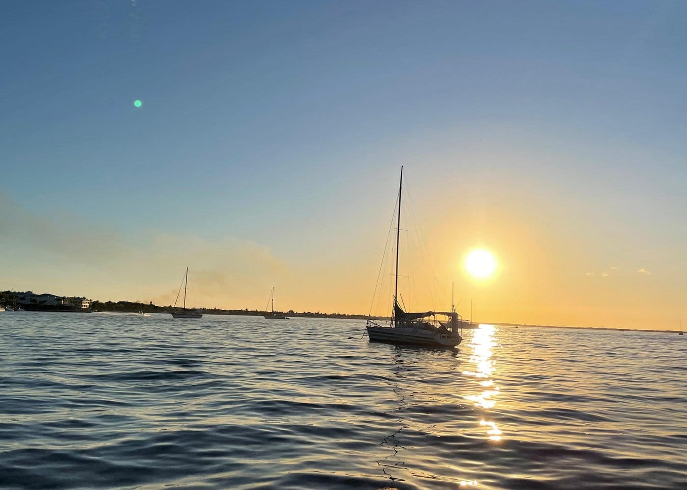 Key Largo Bay Dolphin Sunset Tour-4 Key Largo Bay Dolphin Sunset Tour-4