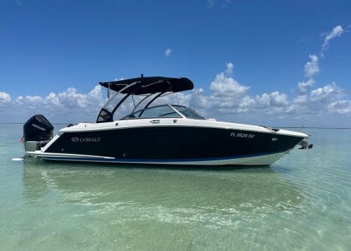 Key Largo Bay Dolphin Sunset Tour